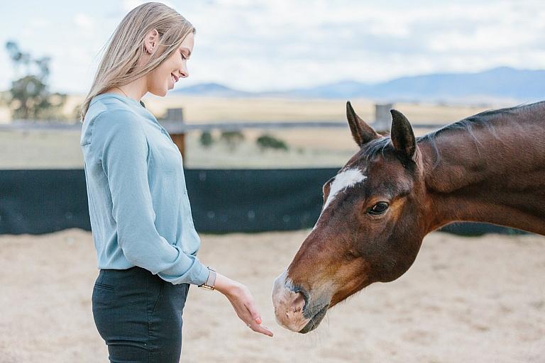 Woman holds hand out to horse